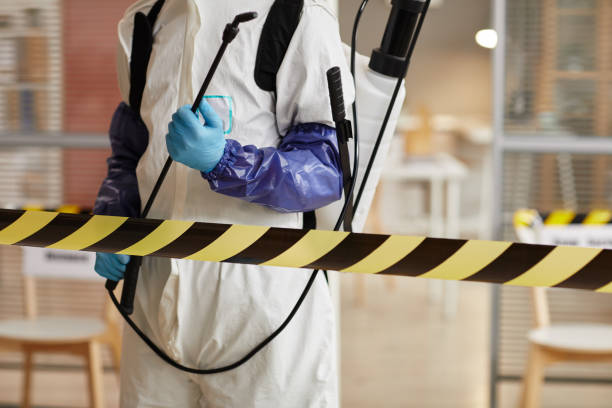 Professional Sewage Cleanup technician working in Orestes, IN